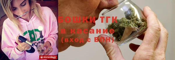ECSTASY Алзамай