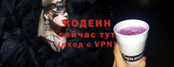 ECSTASY Алзамай