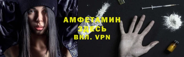 гидра Алексеевка