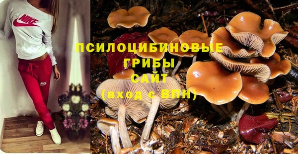 ECSTASY Алзамай