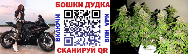 Марихуана ГИДРОПОН дарнет шоп Грязовец